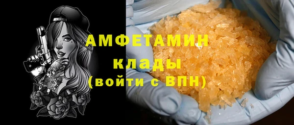 сатива Няндома