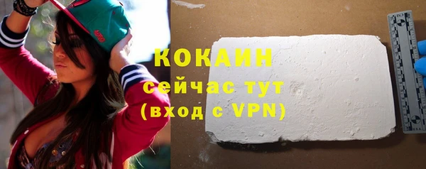 сатива Няндома