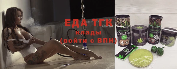 сатива Няндома
