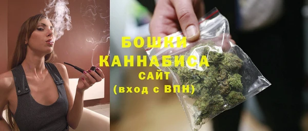 сатива Няндома