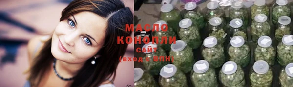 сатива Няндома