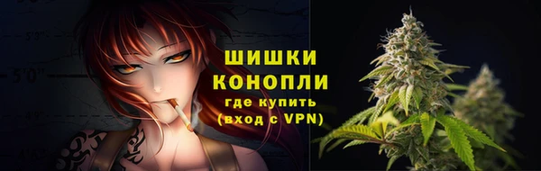 сатива Няндома