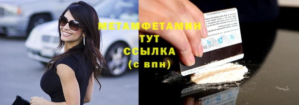сатива Няндома