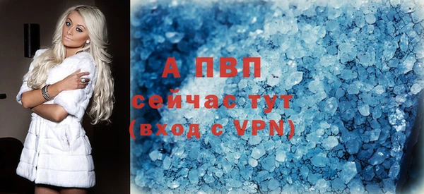 сатива Няндома