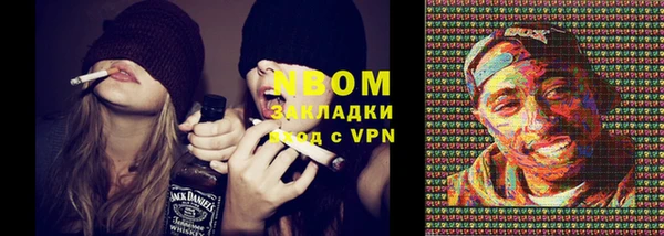 сатива Няндома