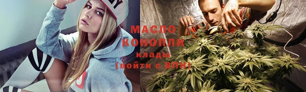 сатива Няндома