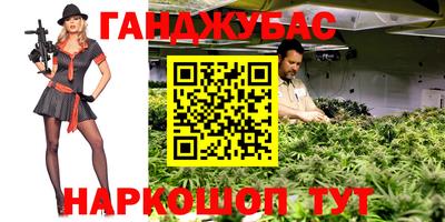 прущие грибы Можайск