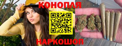 мдпв Моздок