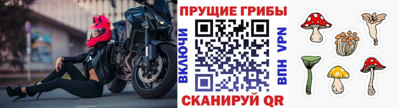 даркнет телеграм  Топки  Галлюциногенные грибы Psilocybine cubensis  ссылка на мегу ссылки 