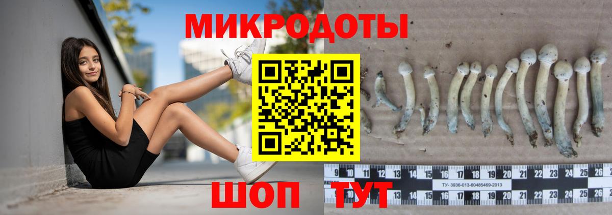 Галлюциногенные грибы GOLDEN TEACHER Топки
