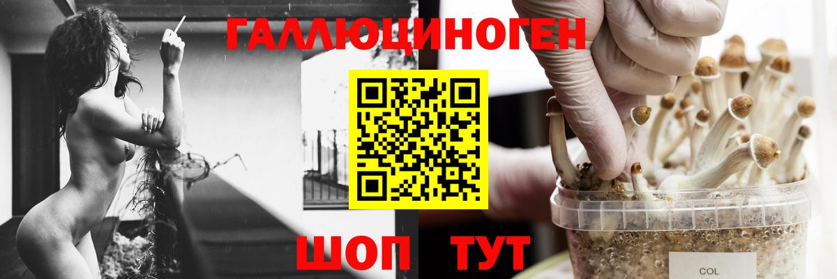 Топки  Галлюциногенные грибы прущие грибы  Псилоцибиновые грибы GOLDEN TEACHER  Вход с VPN 